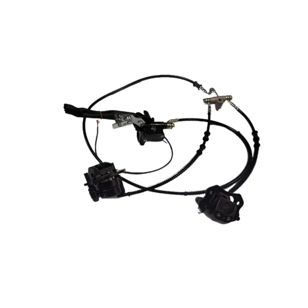 Rear Brake